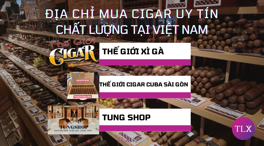Tổng hợp những địa điểm mua Cigar uy tín chất lượng ở đâu?